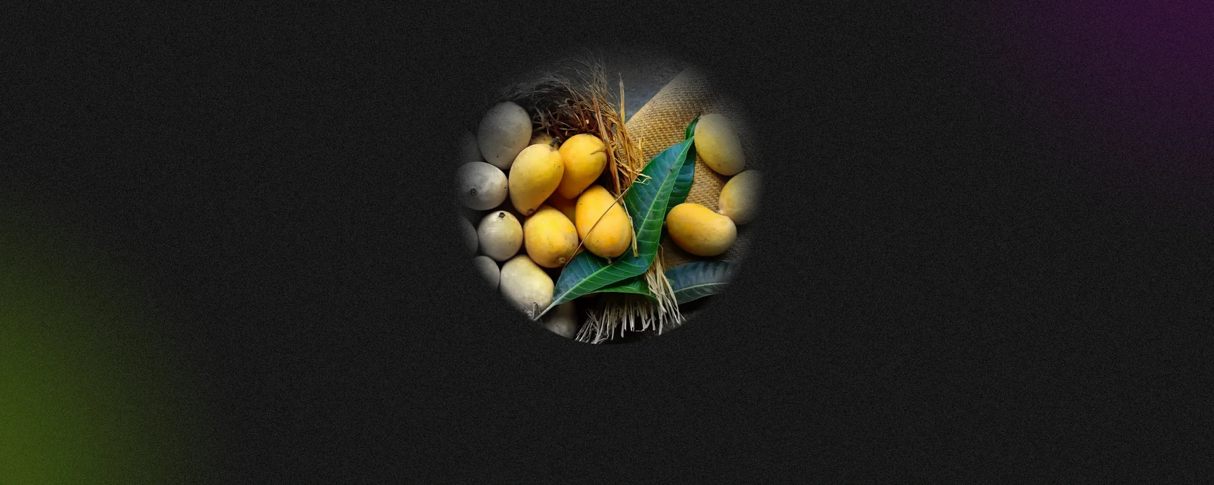 Ethephon Crisis in Mangos: Is It Safe to Have Mangoes?