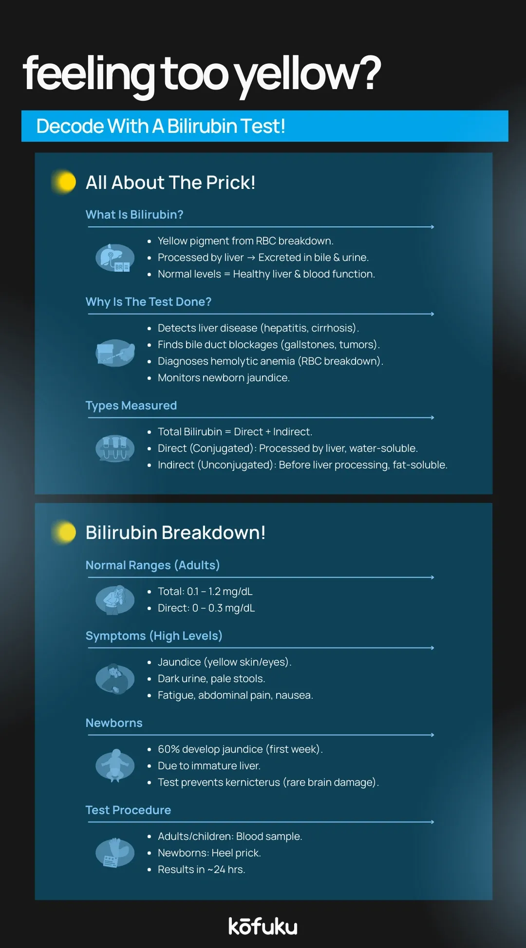 Bilirubin Test Purpose, Significance infographic