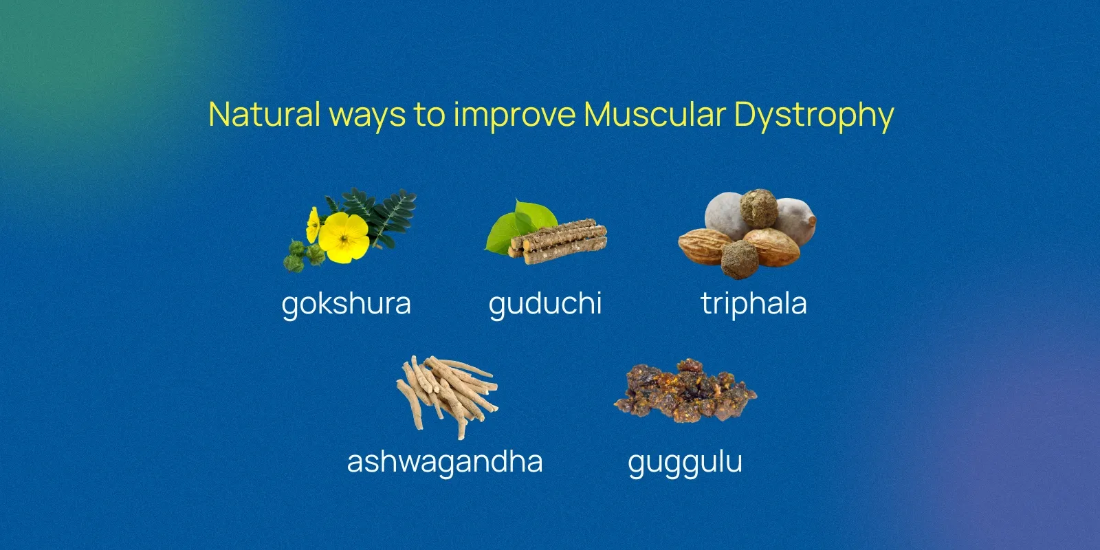 natural ways to improve muscular dystrophy