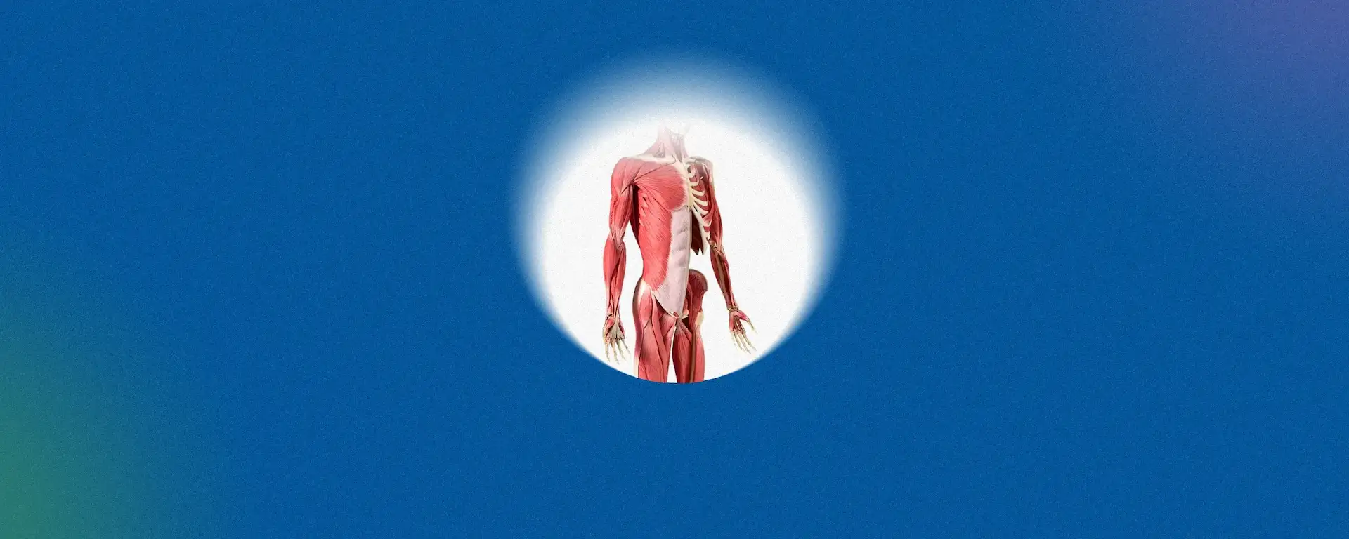 Nutrition and Healthy Eating: Why Bone Health Supplements Matter