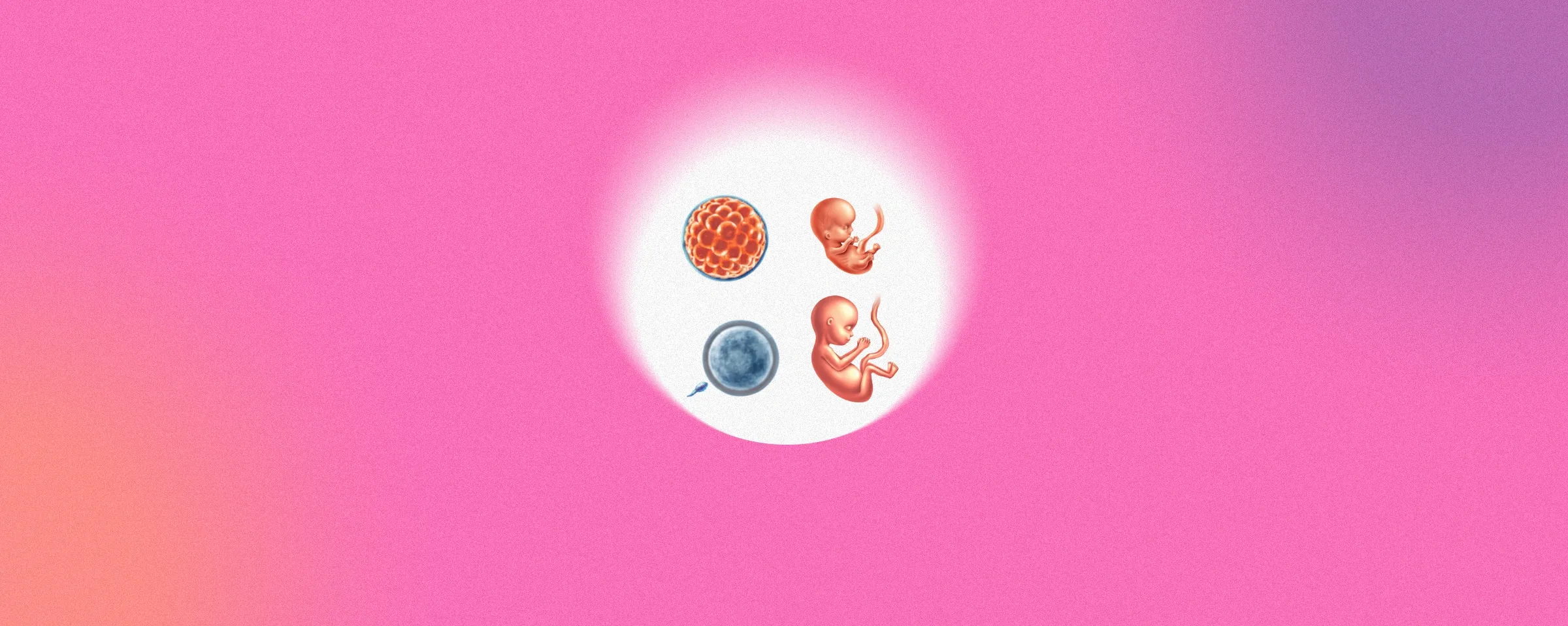 Sperm Morphology: Why It Matters in Male Fertility Testing