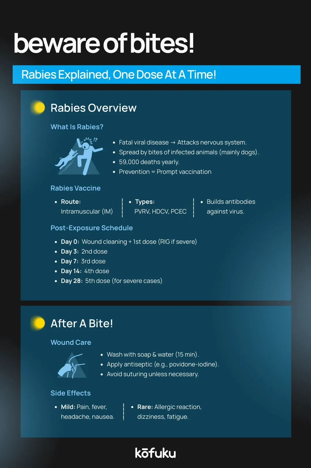Understanding Rabies Vaccine Intramuscular Route for Dog Bites Infographic